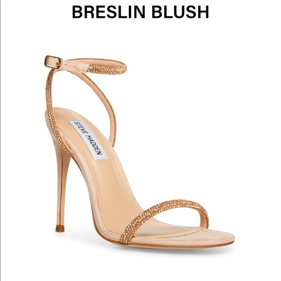 Steve Madden Shoes - Steve Madden Breslin Blush Heel